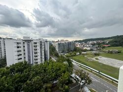 Hillview Heights (D23), Condominium #549329301